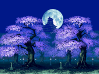 Cherry Blossoms at Night from Samurai Shodown IV